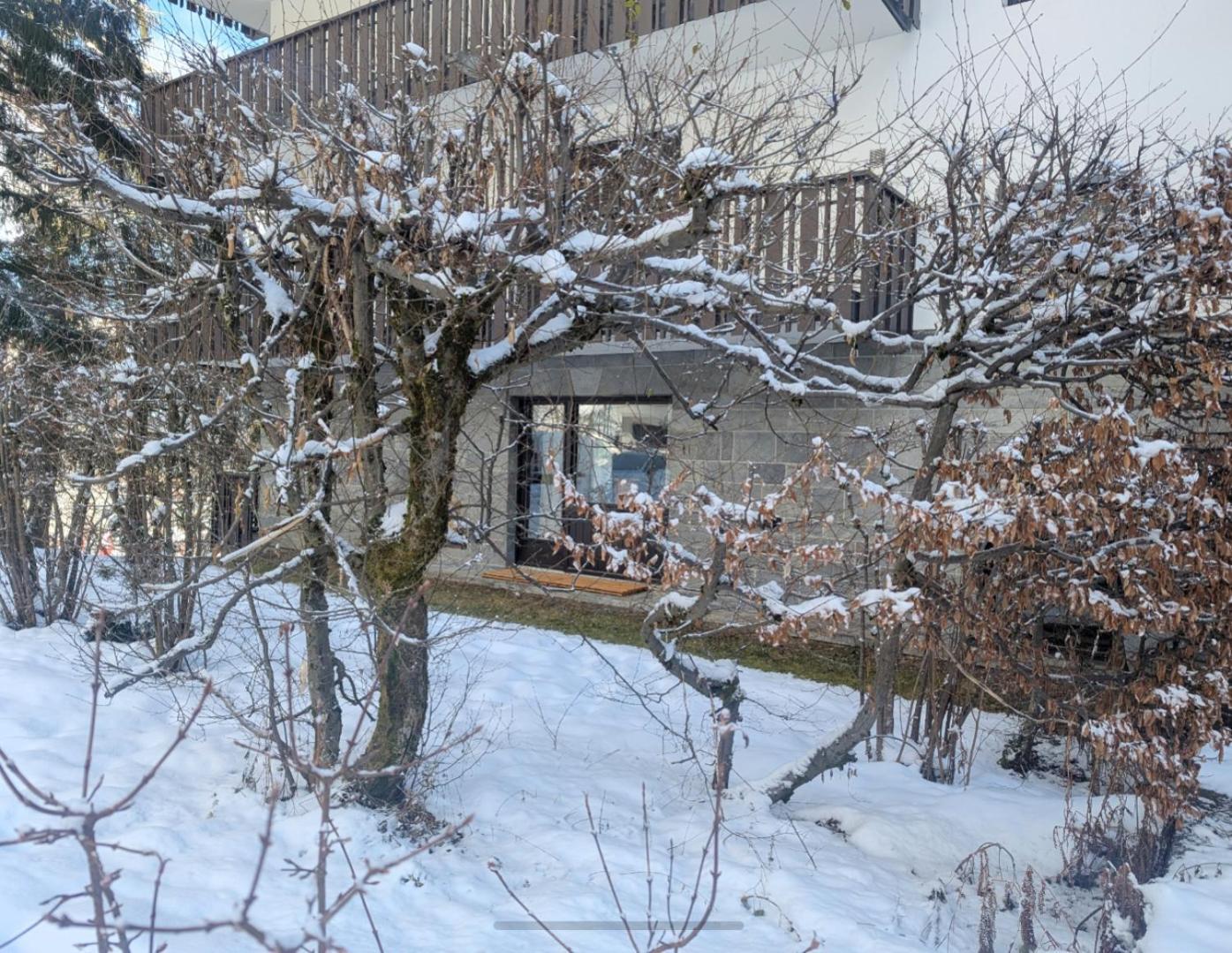 Au Petit Bois Leilighet Chamonix Eksteriør bilde