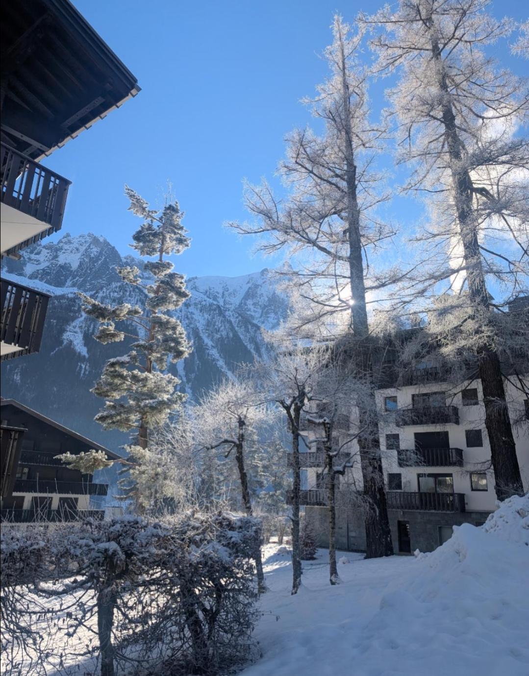 Au Petit Bois Leilighet Chamonix Eksteriør bilde